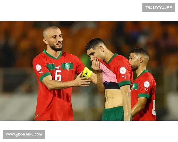 非洲杯经济效应评估摩洛哥旅游消费预计增收30亿美元 非洲杯经济效应评估摩洛哥旅游消费预计增收30亿美元